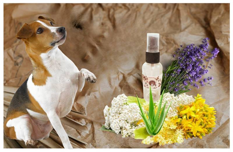 Aromatherapy Spray