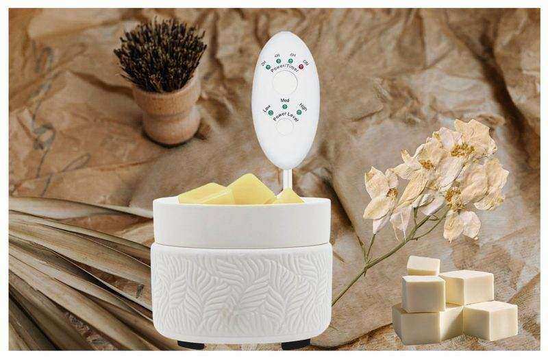 Electric Wax Melter