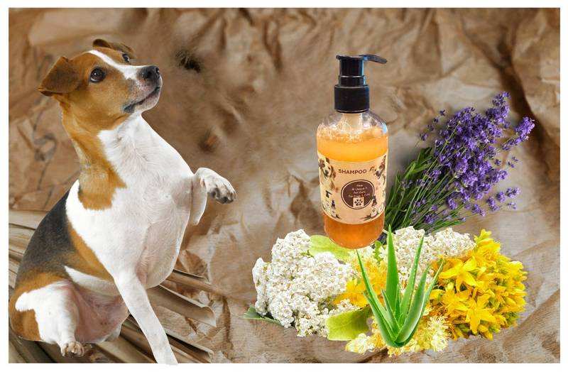 Gentle Fur & Skin Shampoo